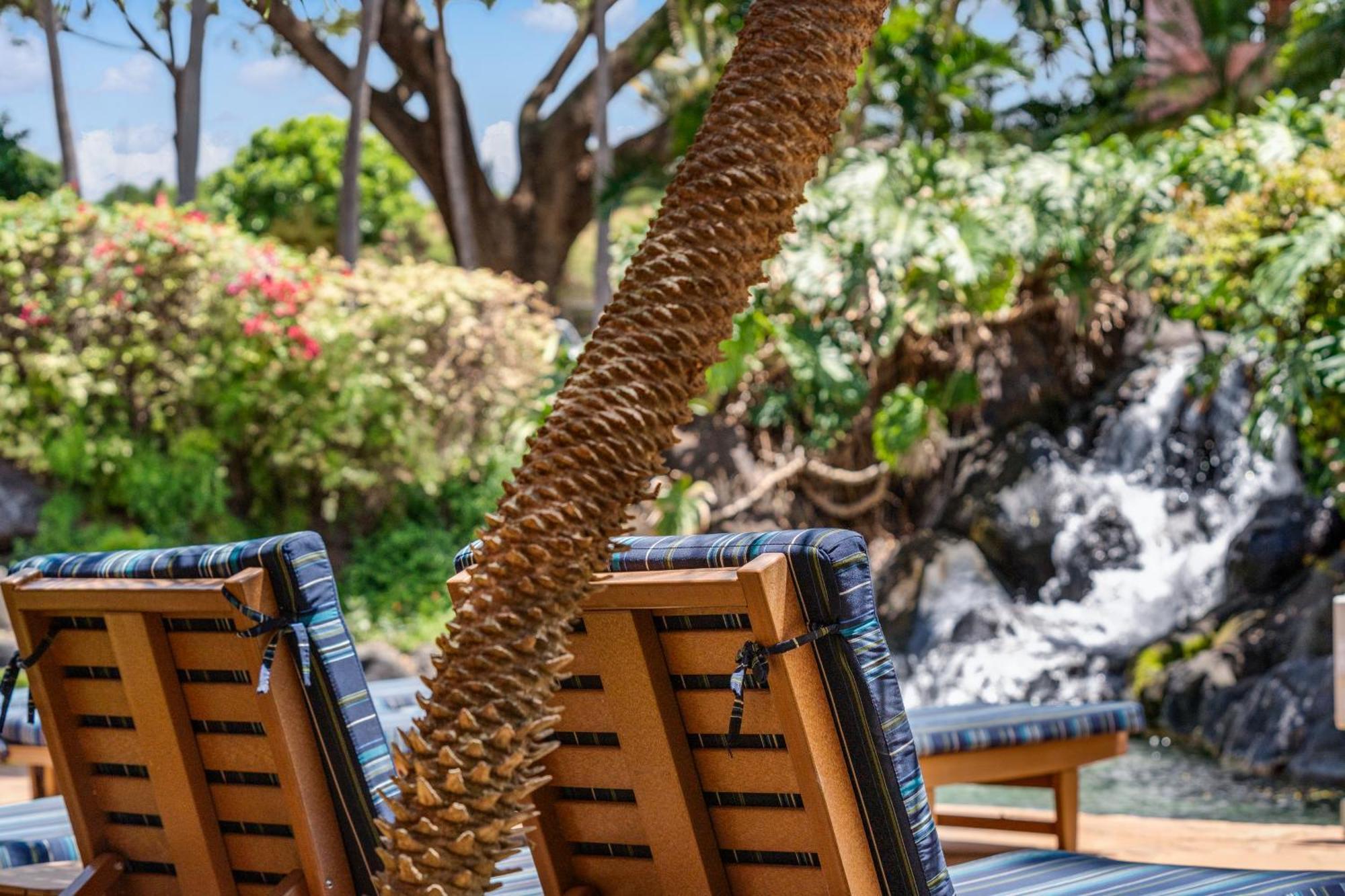 Kahana Falls Resort Napili-Honokowai Eksteriør billede