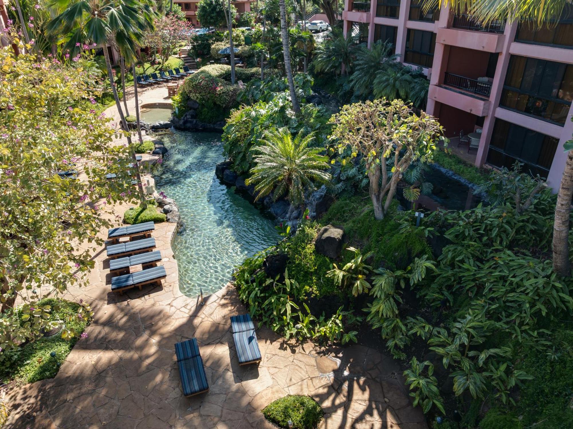 Kahana Falls Resort Napili-Honokowai Eksteriør billede